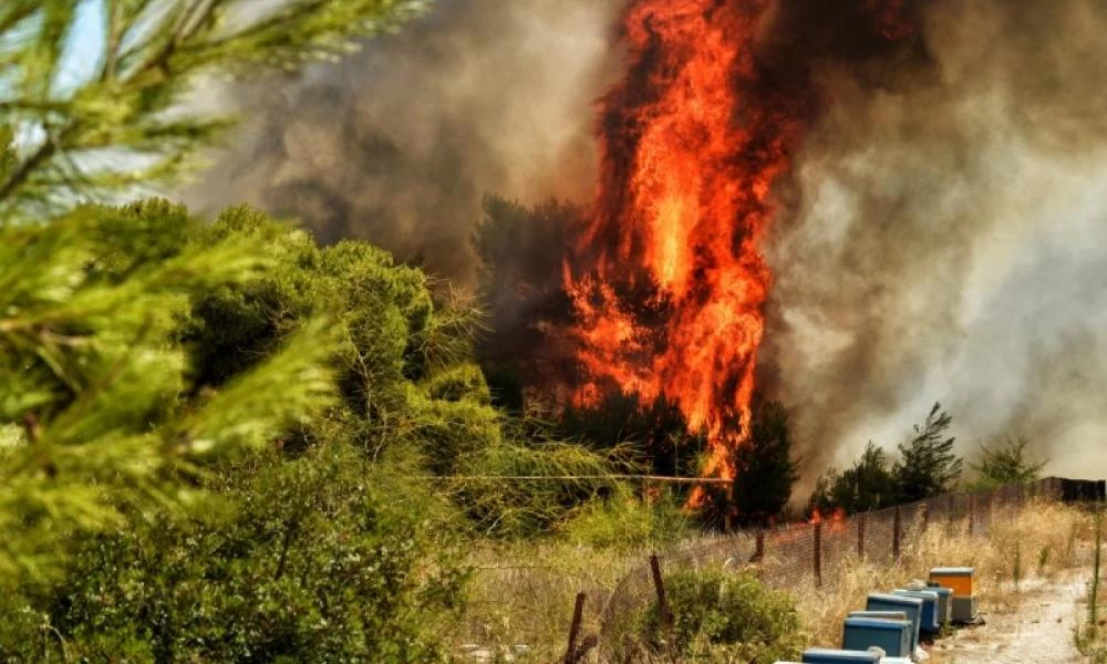 Ξέσπασε Φωτιά στη Χαιρώνεια Βοιωτίας – Υπό έλεγχο η πυρκαγιά στη Φθιώτιδα